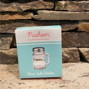 NIB winter pusheen box exclusive glass salt shaker